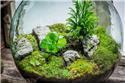 Veranstaltungsbild Das ewige Terrarium1